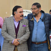 Lisa Abraham: The 2019 Egypt Specific Origin Arabian Horse Championship Photo Gallery