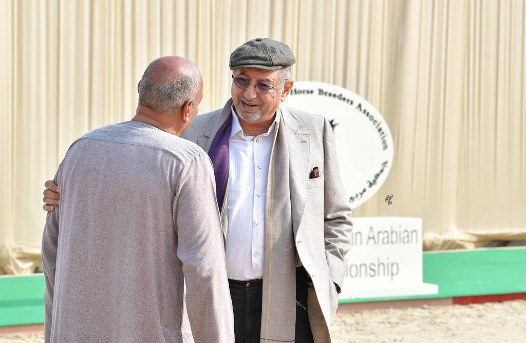 Lisa Abraham: The 2019 Egypt Specific Origin Arabian Horse Championship Photo Gallery