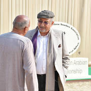 Lisa Abraham: The 2019 Egypt Specific Origin Arabian Horse Championship Photo Gallery