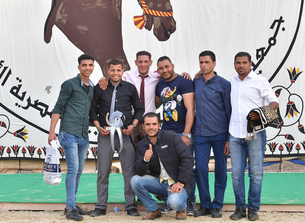 Lisa Abraham: The 2019 Egypt Specific Origin Arabian Horse Championship Photo Gallery