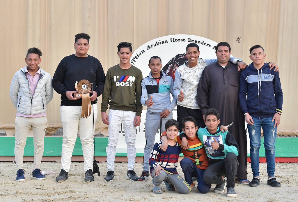 Lisa Abraham: The 2019 Egypt Specific Origin Arabian Horse Championship Photo Gallery