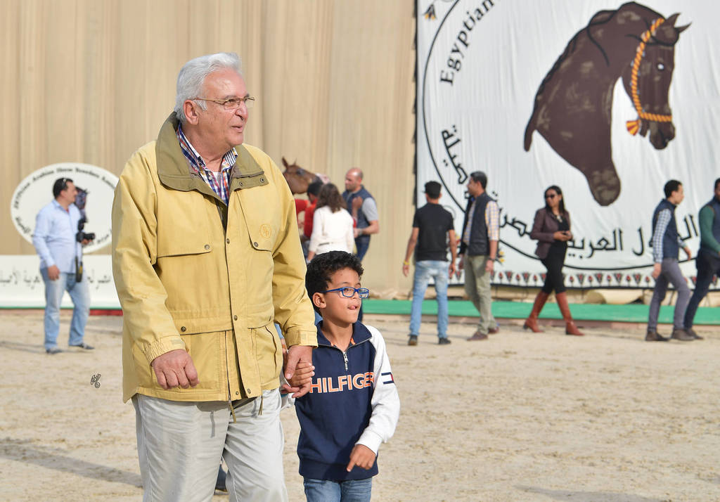 Lisa Abraham: The 2019 Egypt Specific Origin Arabian Horse Championship Photo Gallery