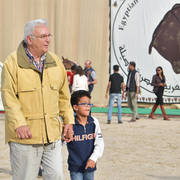 Lisa Abraham: The 2019 Egypt Specific Origin Arabian Horse Championship Photo Gallery