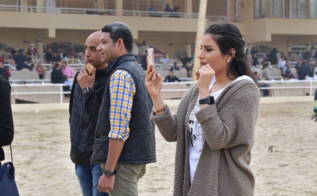 Lisa Abraham: The 2019 Egypt Specific Origin Arabian Horse Championship Photo Gallery