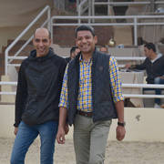 Lisa Abraham: The 2019 Egypt Specific Origin Arabian Horse Championship Photo Gallery