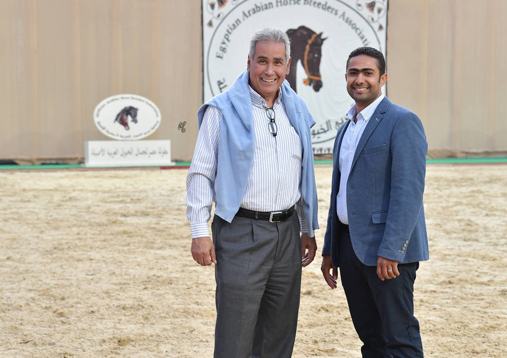 Lisa Abraham: The 2019 Egypt Specific Origin Arabian Horse Championship Photo Gallery