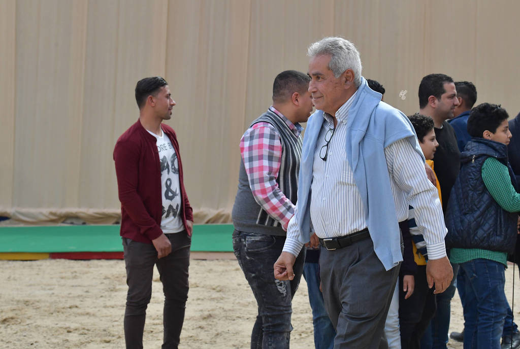 Lisa Abraham: The 2019 Egypt Specific Origin Arabian Horse Championship Photo Gallery