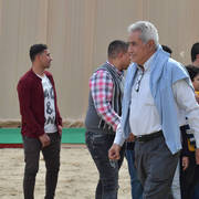 Lisa Abraham: The 2019 Egypt Specific Origin Arabian Horse Championship Photo Gallery