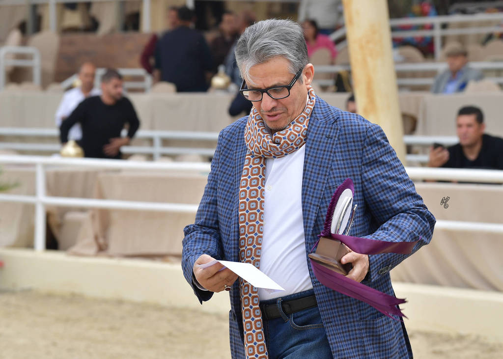 Lisa Abraham: The 2019 Egypt Specific Origin Arabian Horse Championship Photo Gallery