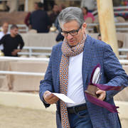 Lisa Abraham: The 2019 Egypt Specific Origin Arabian Horse Championship Photo Gallery