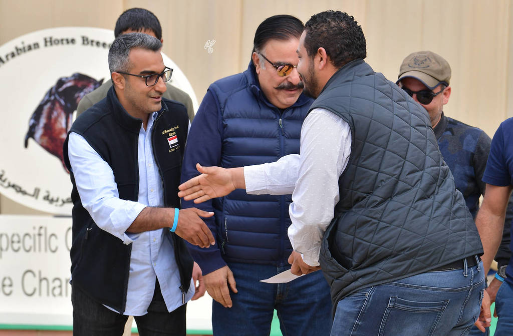 Lisa Abraham: The 2019 Egypt Specific Origin Arabian Horse Championship Photo Gallery