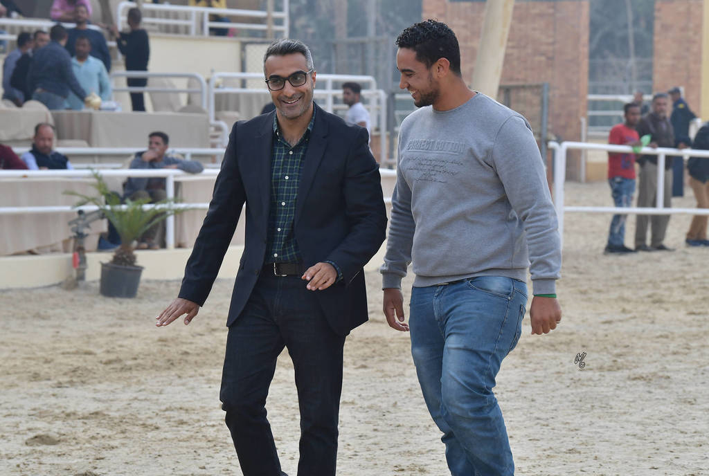 Lisa Abraham: The 2019 Egypt Specific Origin Arabian Horse Championship Photo Gallery