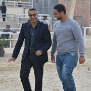 Lisa Abraham: The 2019 Egypt Specific Origin Arabian Horse Championship Photo Gallery