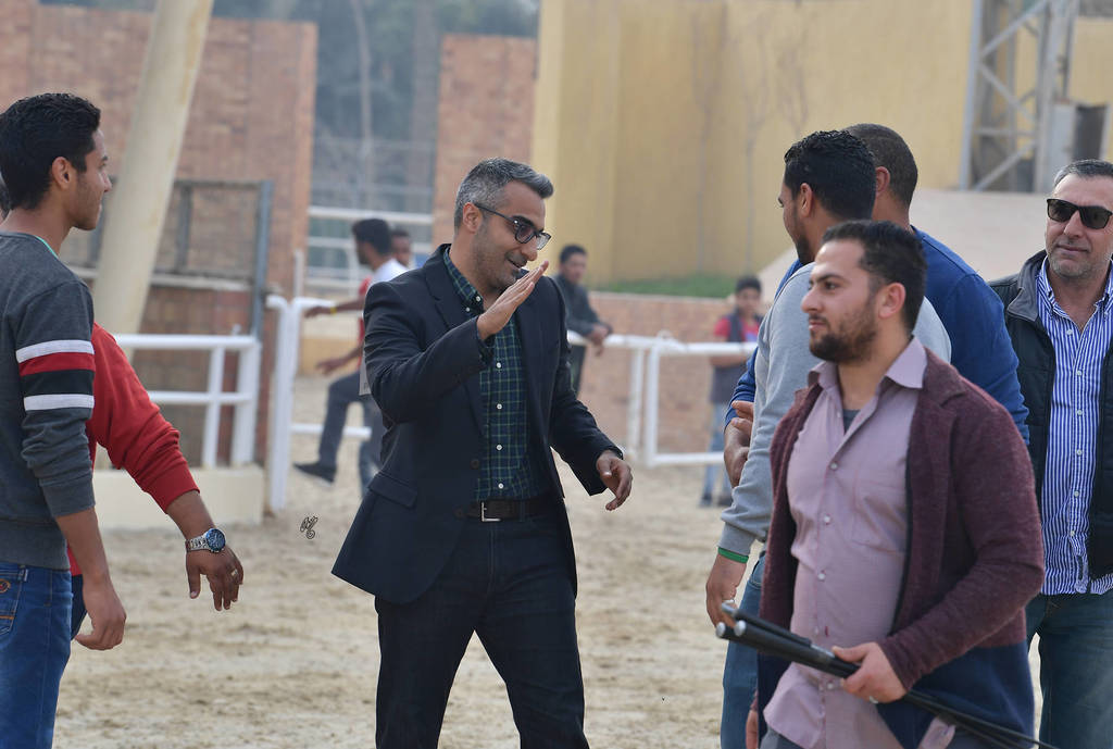 Lisa Abraham: The 2019 Egypt Specific Origin Arabian Horse Championship Photo Gallery