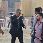 Lisa Abraham: The 2019 Egypt Specific Origin Arabian Horse Championship Photo Gallery