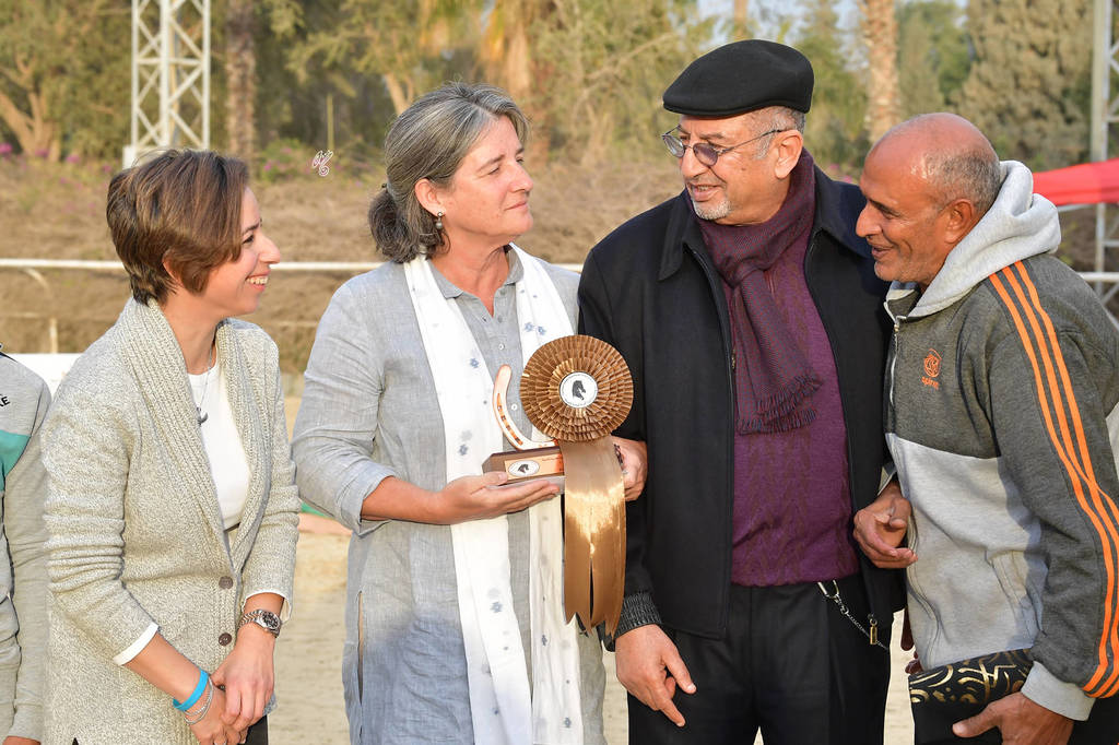 Lisa Abraham: The 2019 Egypt Specific Origin Arabian Horse Championship Photo Gallery