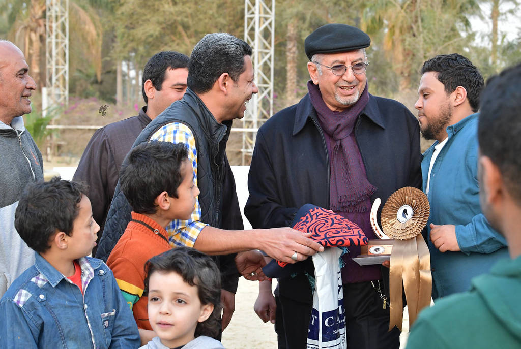 Lisa Abraham: The 2019 Egypt Specific Origin Arabian Horse Championship Photo Gallery