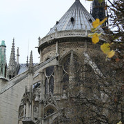 2006 Paris, France Salon Du Cheval Show