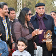 Lisa Abraham: The 2019 Egypt Specific Origin Arabian Horse Championship Photo Gallery