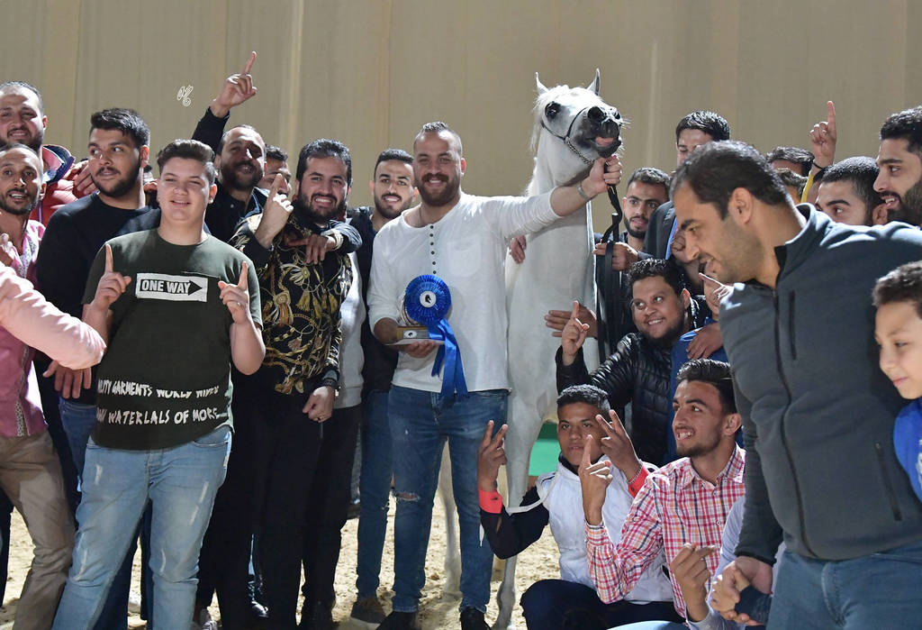 Stallion: Gamil Keriazy