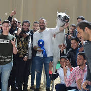 Stallion: Gamil Keriazy