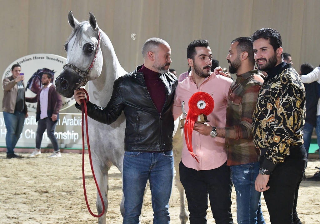 Stallion: Sohail Al Yasser