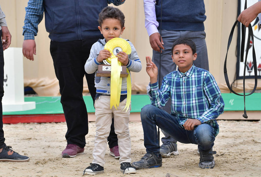 Colt: Adeeb Al Baidaa