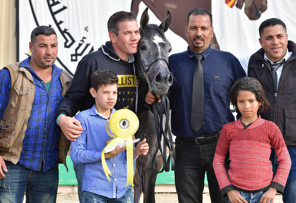 Yearling Colt: Aziz El Sheruk