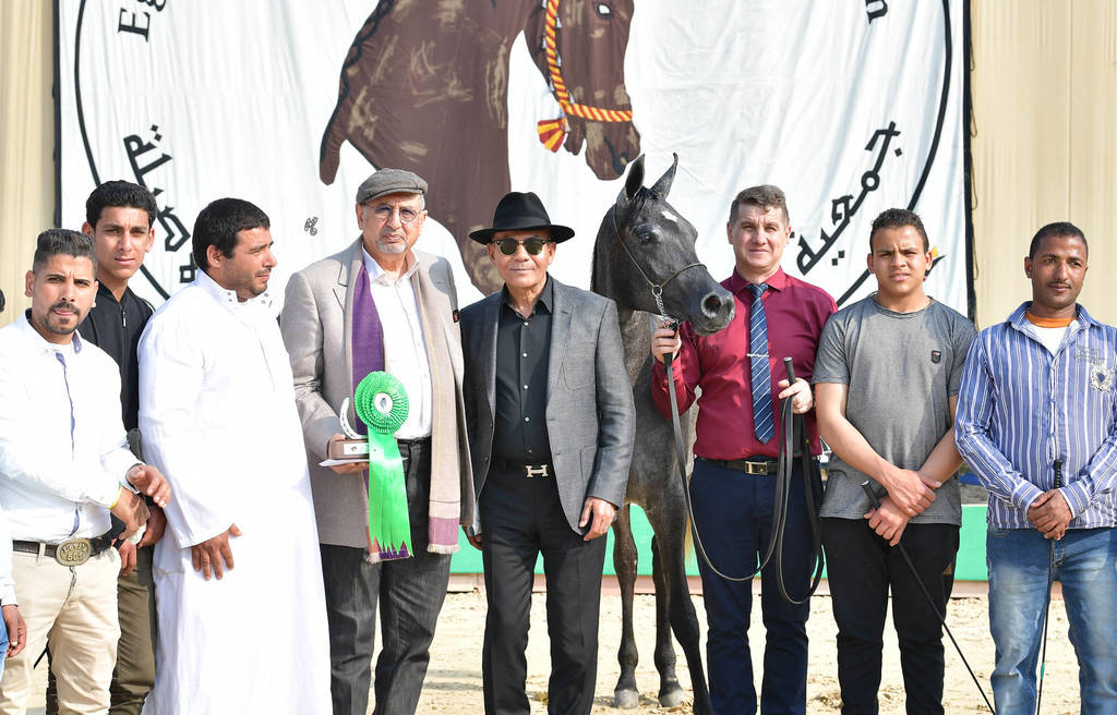 Yearling Filly: Sultana Al Safinat