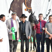 Yearling Filly: Sultana Al Safinat