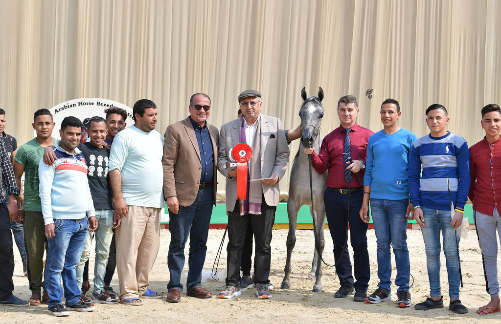 Yearling Filly: Rokia Rabab