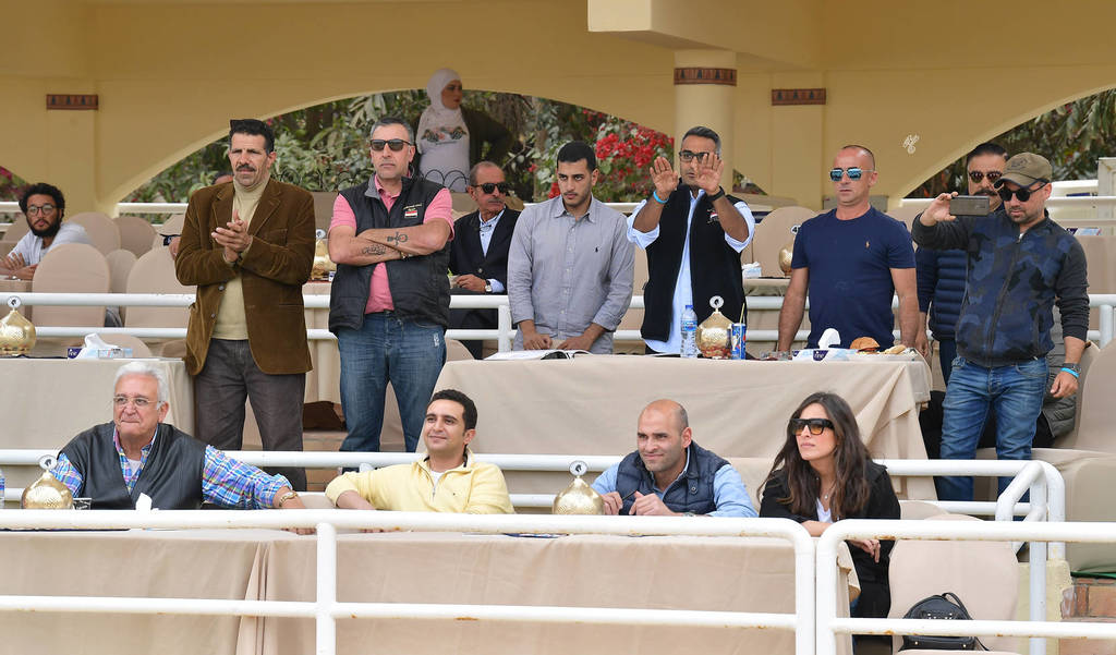 Lisa Abraham: The 2019 Egypt Specific Origin Arabian Horse Championship Photo Gallery