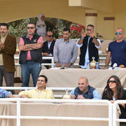 Lisa Abraham: The 2019 Egypt Specific Origin Arabian Horse Championship Photo Gallery