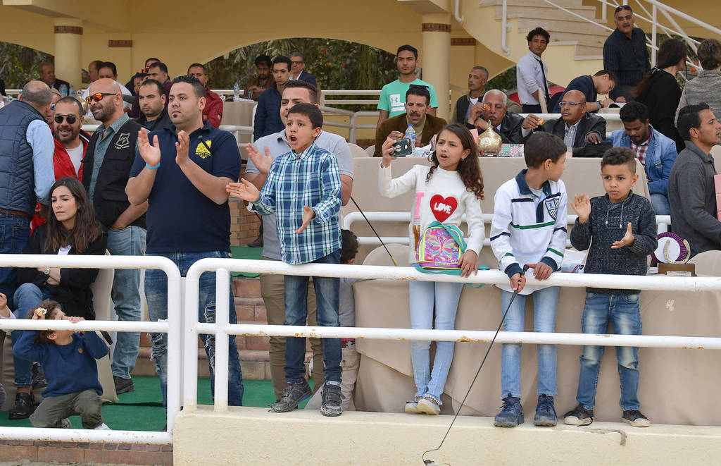 Lisa Abraham: The 2019 Egypt Specific Origin Arabian Horse Championship Photo Gallery