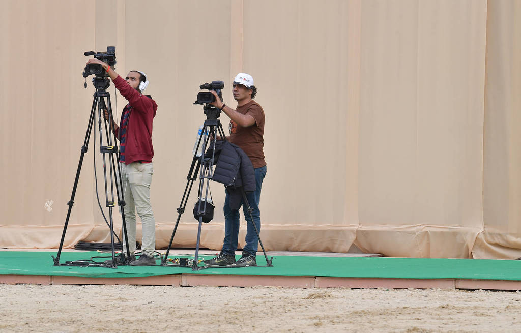 Lisa Abraham: The 2019 Egypt Specific Origin Arabian Horse Championship Photo Gallery