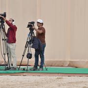 Lisa Abraham: The 2019 Egypt Specific Origin Arabian Horse Championship Photo Gallery