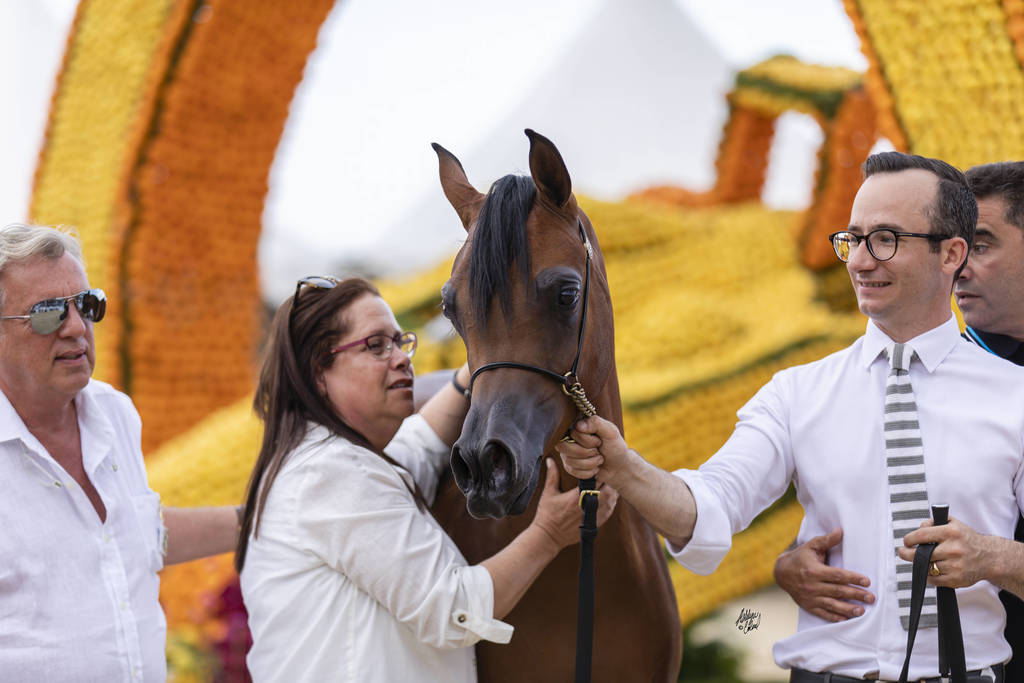 My Vision AA - Yearling Female Gold Champion