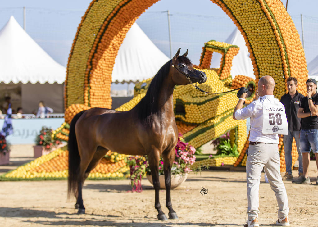 Eralda - Junior Female Silver Champion