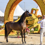 Eralda - Junior Female Silver Champion