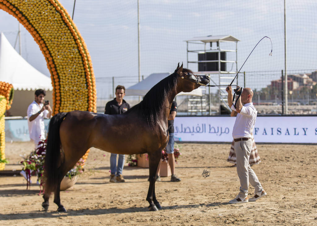 Eralda - Junior Female Silver Champion