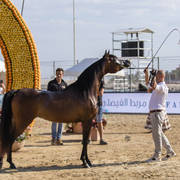 Eralda - Junior Female Silver Champion
