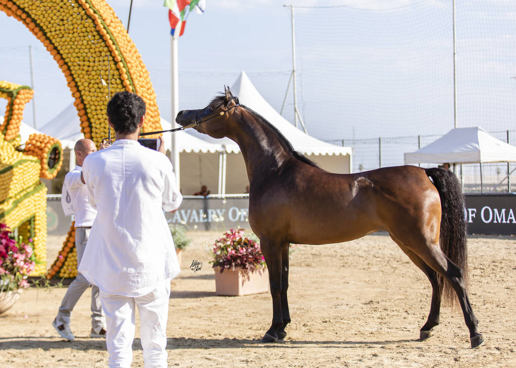 Eralda - Junior Female Silver Champion