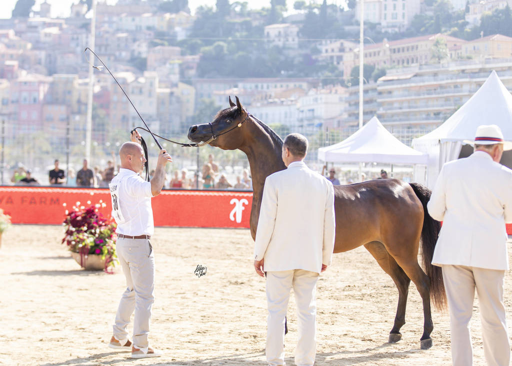Eralda - Junior Female Silver Champion