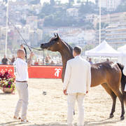 Eralda - Junior Female Silver Champion