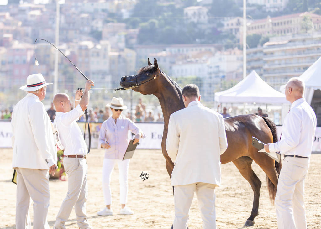 Eralda - Junior Female Silver Champion