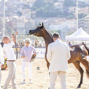 Eralda - Junior Female Silver Champion