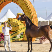 Eralda - Junior Female Silver Champion