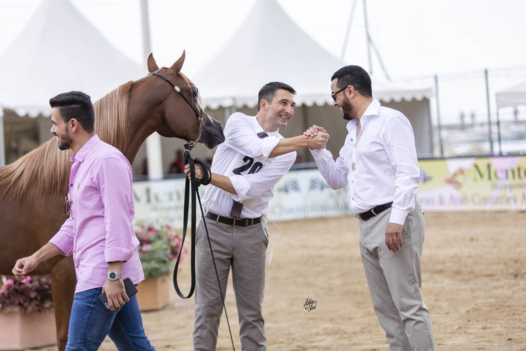Menton Arabian Horse Show 2019