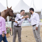 Menton Arabian Horse Show 2019