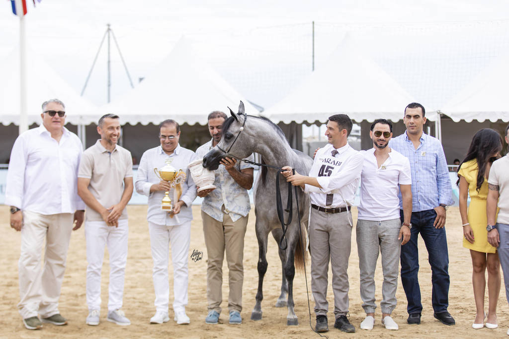 D Shihanah - Junior Female Gold Champion